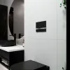 Панель смыва Koller Pool Integro Cosmo, черный/хром- Фото 4